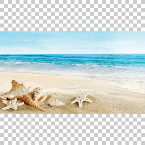 Χειροκίνητο ρόλλερ με εκτύπωση P351