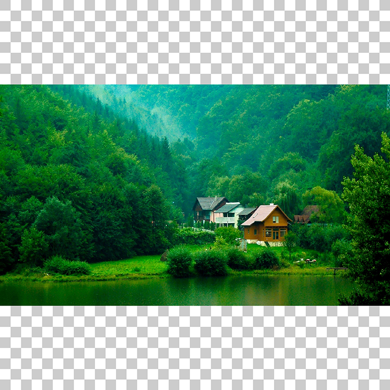 Χειροκίνητο ρόλλερ με εκτύπωση P352