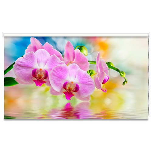 Χειροκίνητο ρόλλερ με εκτύπωση P264