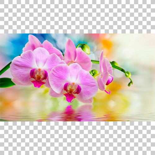 Χειροκίνητο ρόλλερ με εκτύπωση P264