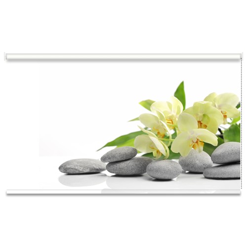 Χειροκίνητο ρόλλερ με εκτύπωση P266