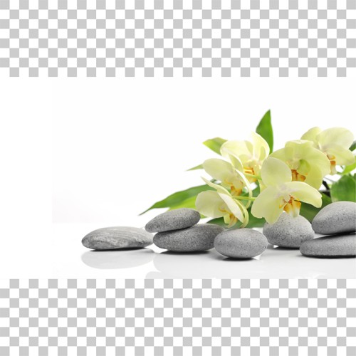 Χειροκίνητο ρόλλερ με εκτύπωση P266