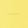 Ρόλλερ μπαταρίας Plain 2464
